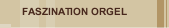 FASZINATION ORGEL